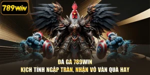 Đá Gà 789WIN - Kịch Tính Ngập Tràn, Nhận Vô Vàn Quà Hay